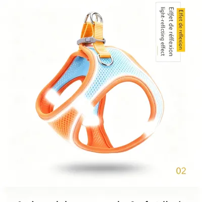 MCBOSON Harnais + Laisse Chat & Chiot : Anti-Fuite, Réglable, Confortable