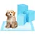 50 protections absorbantes standard pour chiens incontinents et chiots