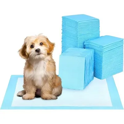 50 protections absorbantes standard pour chiens incontinents et chiots
