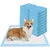 50 protections absorbantes standard pour chiens incontinents et chiots