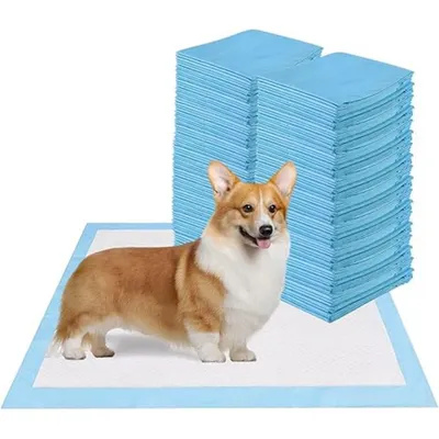 50 protections absorbantes standard pour chiens incontinents et chiots