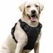 FurryFusion Hundegeschirr