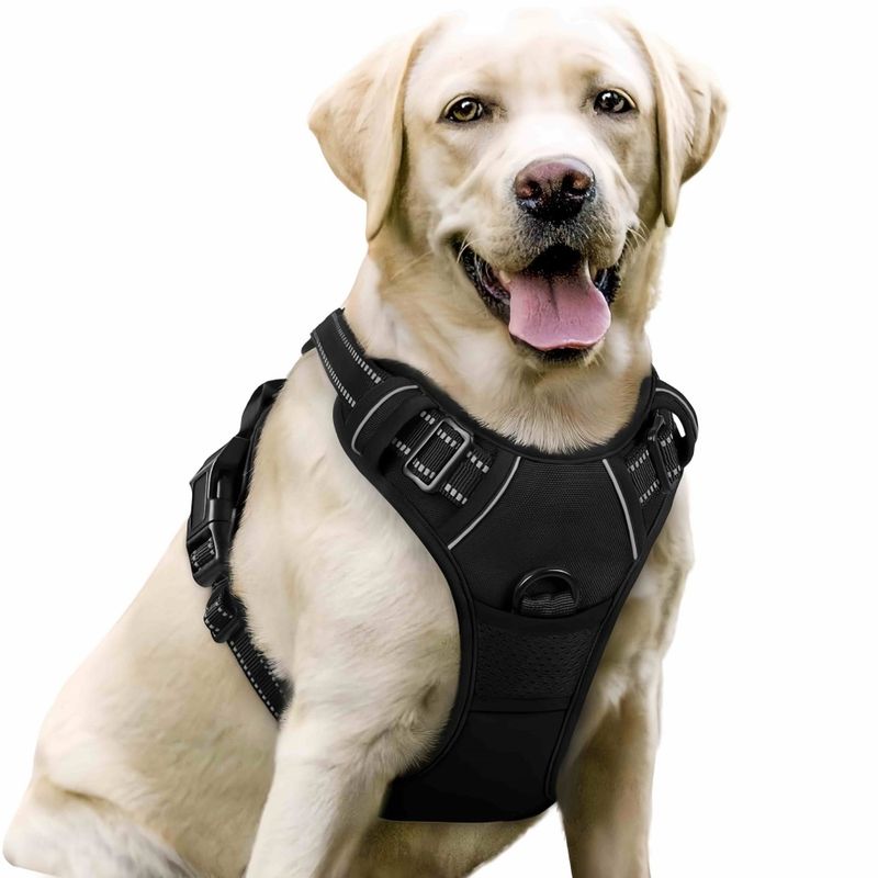 FurryFusion Hundegeschirr