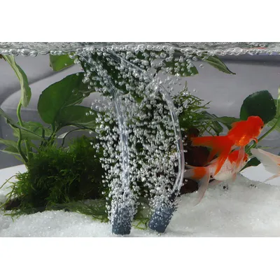 FurryFusion Pompe à oxygène pour aquarium FurryFusion Pompe à oxygène pour aquarium