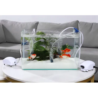 FurryFusion Pompe à oxygène pour aquarium FurryFusion Pompe à oxygène pour aquarium