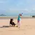 MCBOSON Lanceur de Balle pour Chien Avec Balle Incluse Jouet Interactif