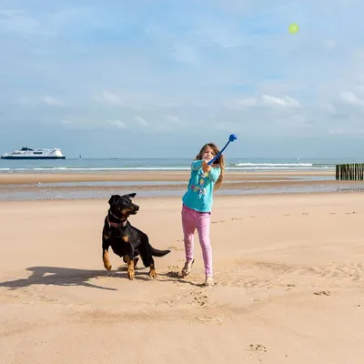 MCBOSON Lanceur de Balle pour Chien Avec Balle Incluse Jouet Interactif