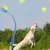 MCBOSON Lanceur de Balle pour Chien Avec Balle Incluse Jouet Interactif