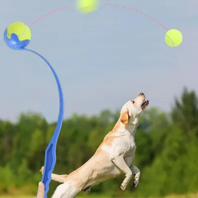 MCBOSON Lanceur de Balle pour Chien Avec Balle Incluse Jouet Interactif
