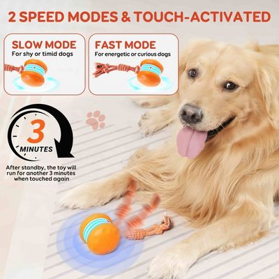 FurryFusion Jouet interactif pour chien