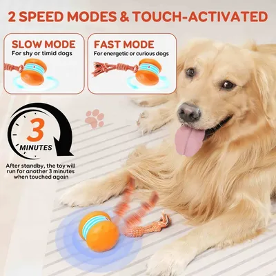 FurryFusion Jouet interactif pour chien