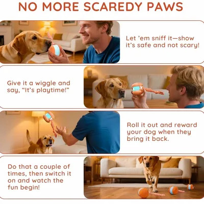 FurryFusion Jouet interactif pour chien