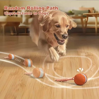 FurryFusion Jouet interactif pour chien