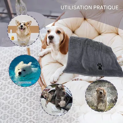 FurryFusion Serviette d'absorption pour animaux de compagnie
