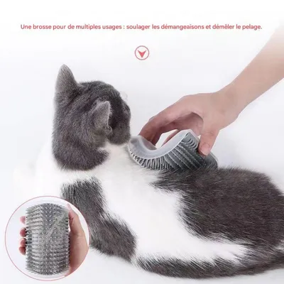FurryFusion Rascador para gatos: para eliminar el pelo y rascarse