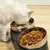 MCBOSON Bol surélevé en inox pour chats/chiens : Inclinaison 0/15°