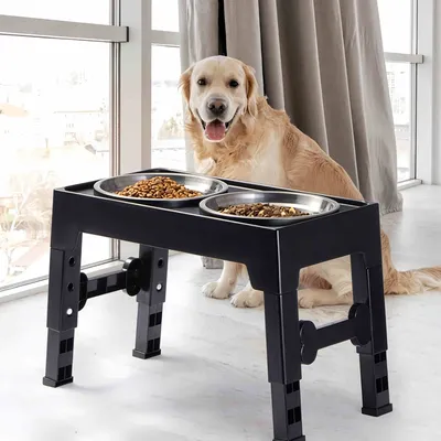 FurryFusion Bol alimentaire réglable pour animaux de compagnie