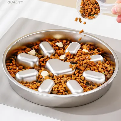 Gamelle Inox Anti-Glissement pour Chiens Moyens Alimentation Lente