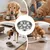 Gamelle Inox Anti-Glissement pour Chiens Moyens Alimentation Lente