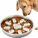 Gamelle Inox Anti-Glissement pour Chiens Moyens Alimentation Lente