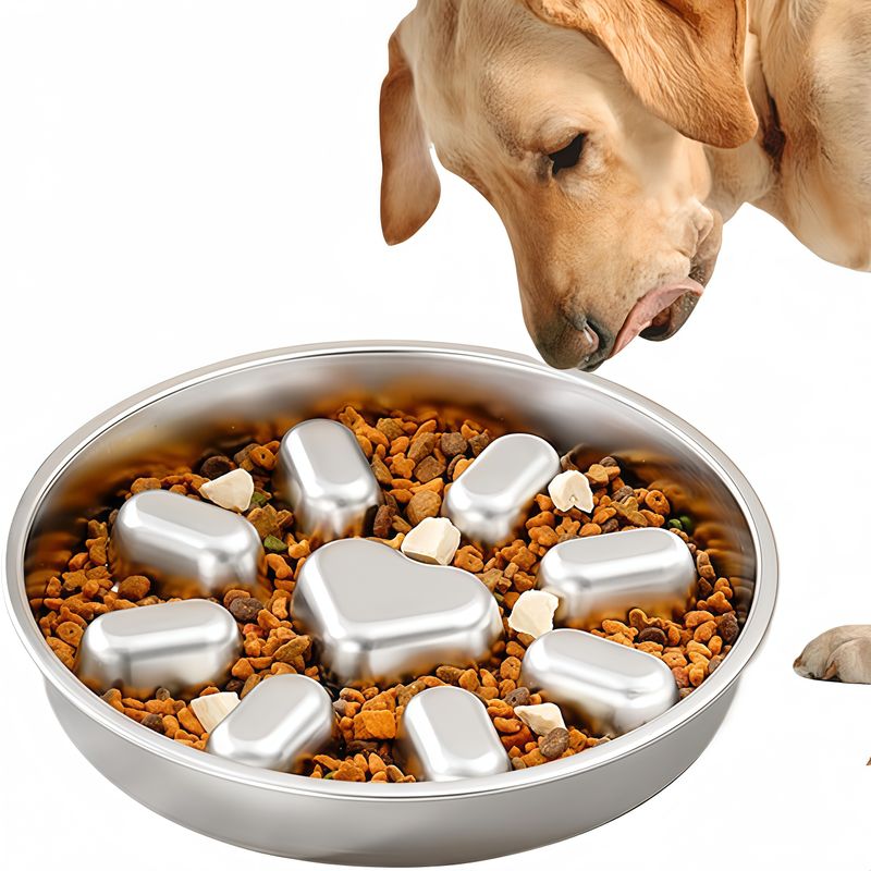 Gamelle Inox Anti-Glissement pour Chiens Moyens Alimentation Lente