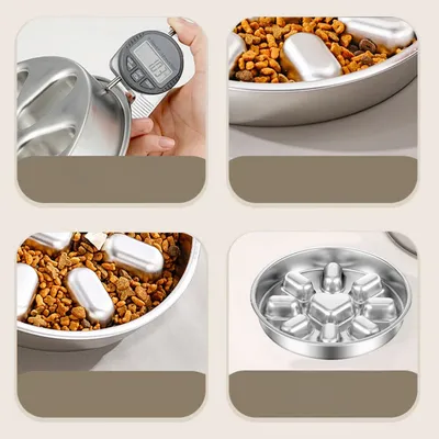 Gamelle Inox Anti-Glissement pour Chiens Moyens Alimentation Lente