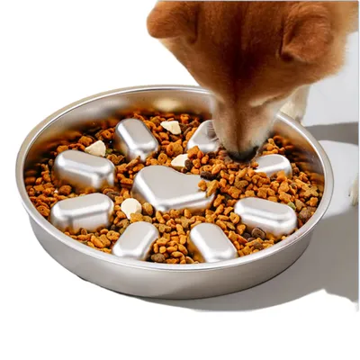 Gamelle Inox Anti-Glissement pour Chiens Moyens Alimentation Lente