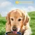 FurryFusion Bol multifonctionnel en silicone pour animaux de compagnie