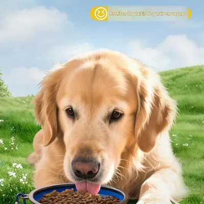 FurryFusion Bol multifonctionnel en silicone pour animaux de compagnie