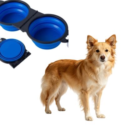 MCBOSON Bleu (2 en 1 Pliant Voyage) Bol Chiens et Chats