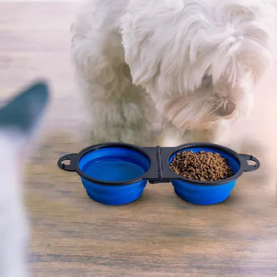 Bol 2 en 1 Pliant Bleu - Voyage pour Chiens/Chats,