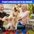 Bol 2 en 1 Pliant Bleu - Voyage pour Chiens/Chats,