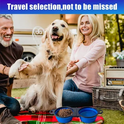 Bol 2 en 1 Pliant Bleu - Voyage pour Chiens/Chats,
