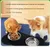 FurryFusion Double bol en silicone et inox pour chien