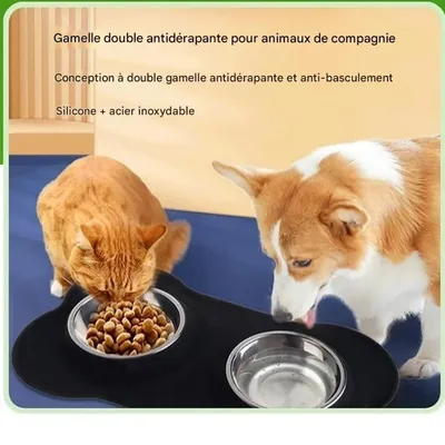 FurryFusion Double bol en silicone et inox pour chien