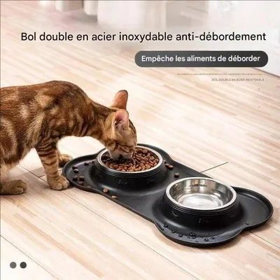 FurryFusion Double bol en silicone et inox pour chien