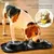 FurryFusion Double bol en silicone et inox pour chien