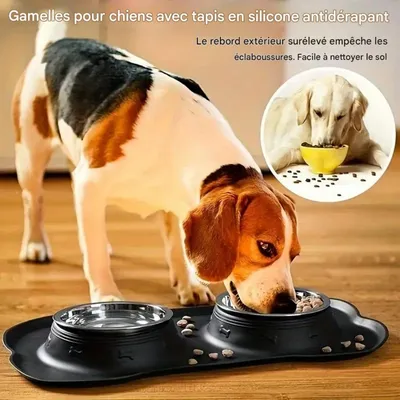 FurryFusion Double bol en silicone et inox pour chien