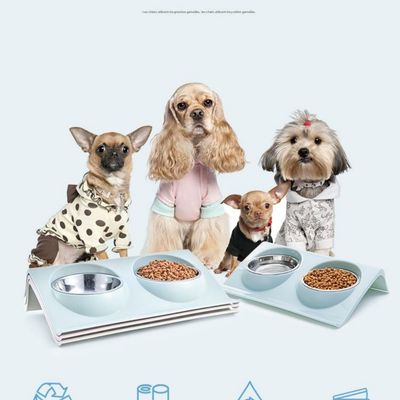 FurryFusion Double bol pour chat et chien