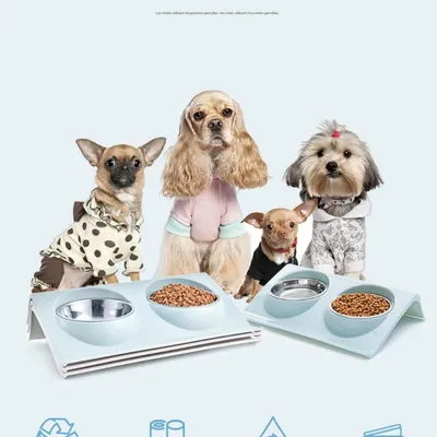 FurryFusion Double bol pour chat et chien