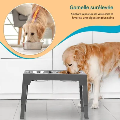 FurryFusion Table réglable pour gamelles d'animaux de compagnie