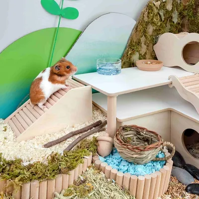 FurryFusion Pont pour hamster