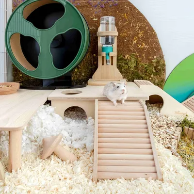 FurryFusion Pont pour hamster