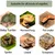 FurryFusion Plateforme d'escalade pour tortues