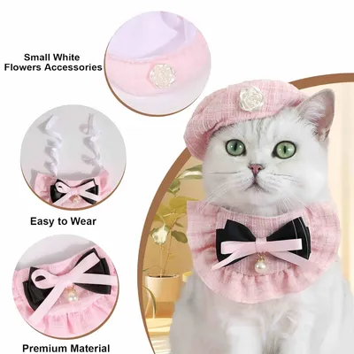FurryFusion Set aus Mütze und Halstuch für Haustiere FurryFusion Set aus Mütze und Halstuch für Haustiere