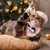 FurryFusion Set aus Mütze und Halstuch für Haustiere FurryFusion Set aus Mütze und Halstuch für Haustiere