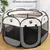 FurryFusion Tente pour chats et chiens