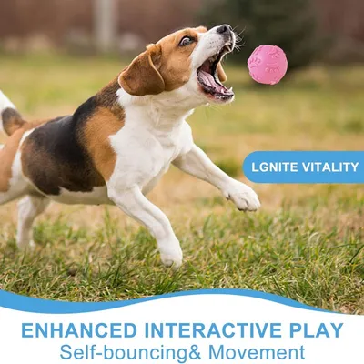 3 Balles Caoutchouc Chien - Couineuses, Flottantes, Toutes Tailles