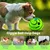 Balle Couineuse Indestructible pour Chiens Amusant Sans Piles