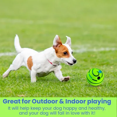 Balle Couineuse Indestructible pour Chiens Amusant Sans Piles
